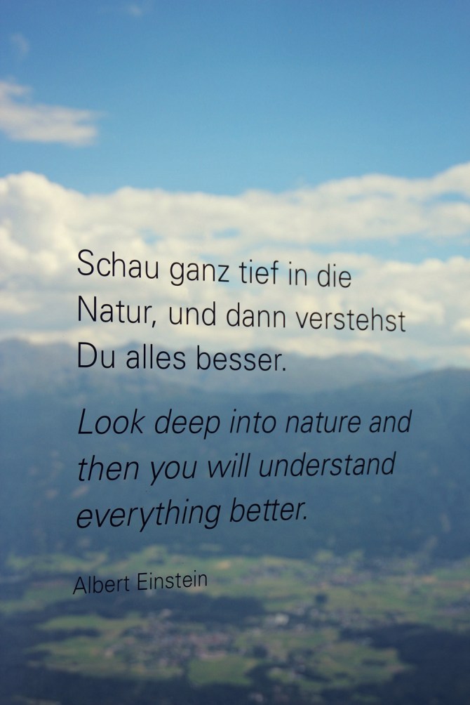 hafelekarspitze-einstein