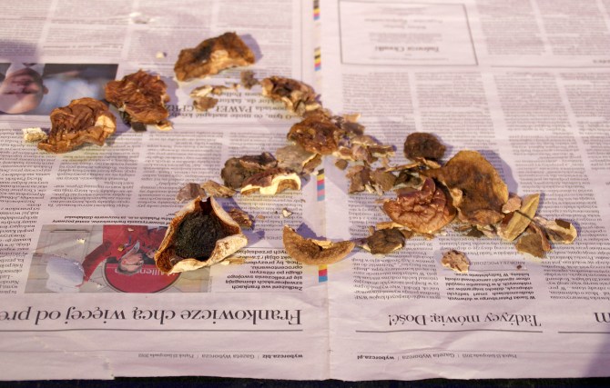 "Sarenki" - reż. Tomáš Svoboda - Teatr Ludowy w Krakowie 